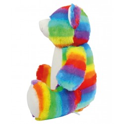 Teddy Zippie rainbow bear Mumbles 